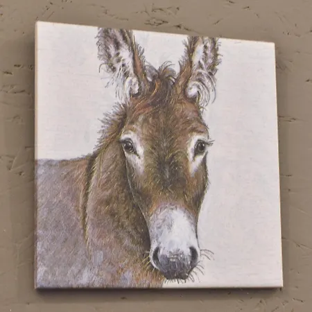 Appartement Ferienwohnung-esel *