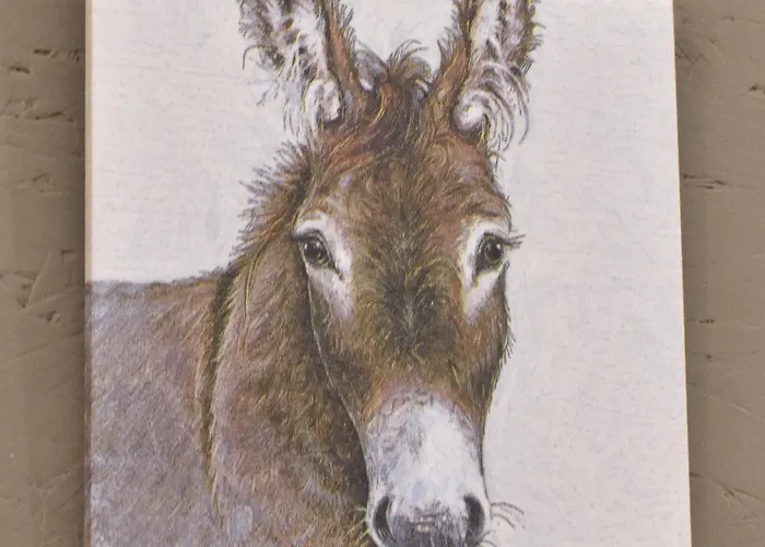 Appartement Ferienwohnung-esel *