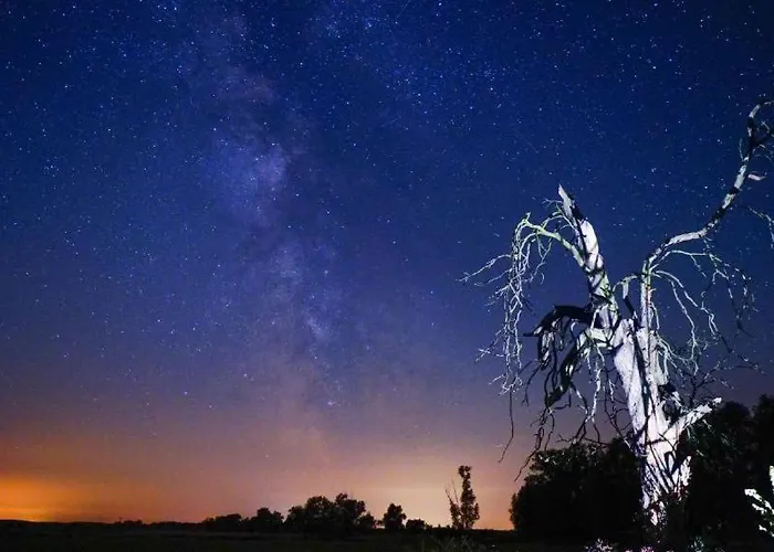 Appartement Ferienwohnung-esel Dreetz